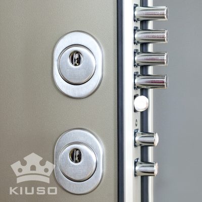 puertas acorazadas con cerradura doble (6)